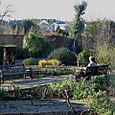 Tulse Hill View