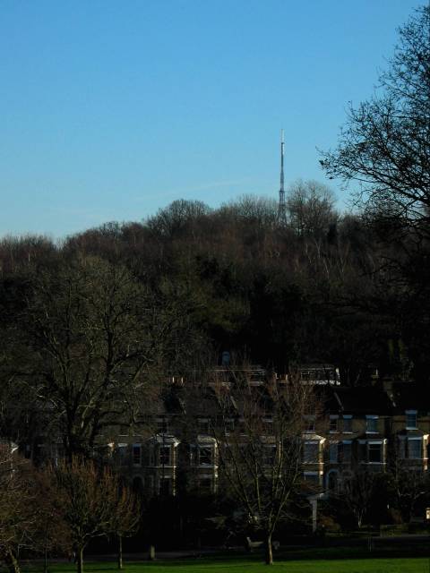 Crystal Palace