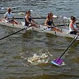 Coxed 8