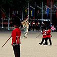 Man with Flag