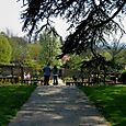 Rookery View