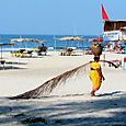 Coconut Carrier