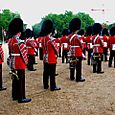 Welsh Guards