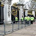 Police at the Palace