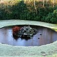 Frozen Pond