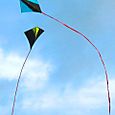 Kites