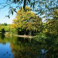 Autumnal reflection