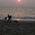 Boat, bike, dog