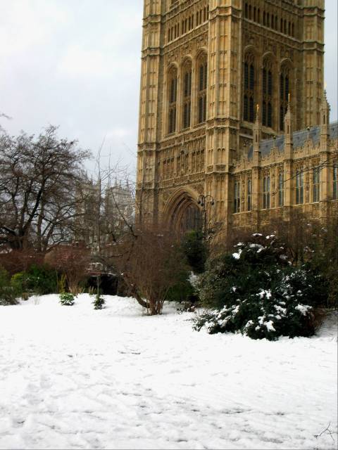 Westminster snow