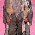 Plácido Domingo as Siegmund