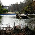 Buckingham Palace