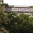 Treetop Walk