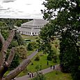 Palm House View