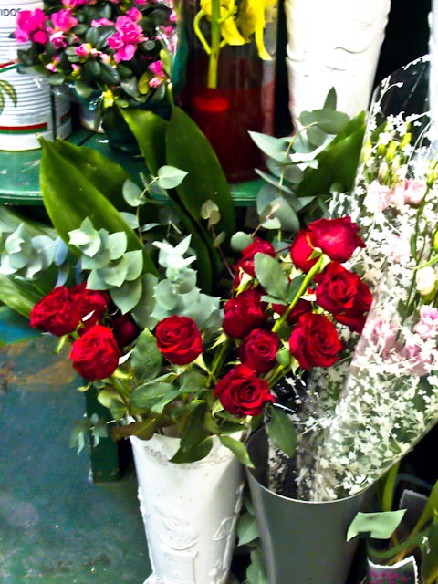 Roses-2