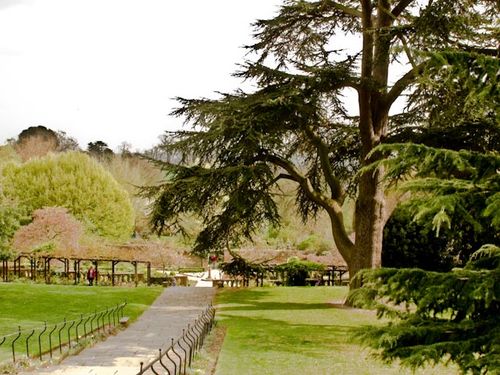 Terraced Garden