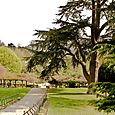 Terraced Garden