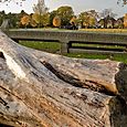 Cattle trough