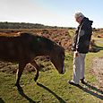 Jimmy and pony