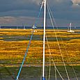 Keyhaven mudflats