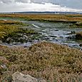 Low tide on the mudflats