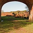 Railway Arch