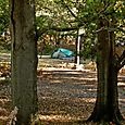 Campsite