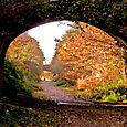 Underneath the arches