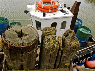 In the harbour