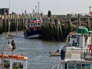 Run aground