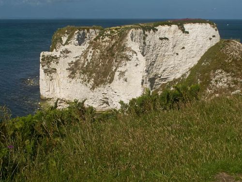 OLd Harry (2)