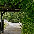 Lych gate