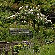 Garden bench