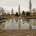 Refurbing the pond