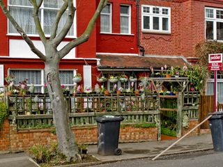 Flower pots