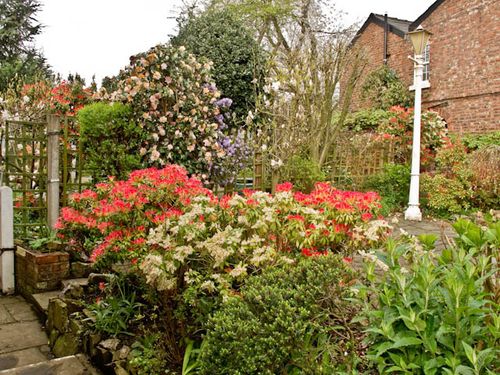 Cottage garden