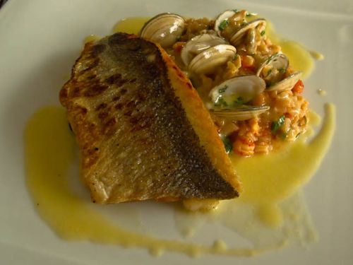 Wild sea bass