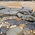 Rocky beach