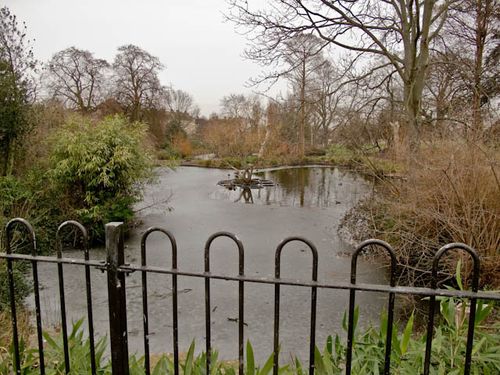 Pond ice