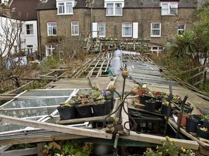 Greenhouse garden