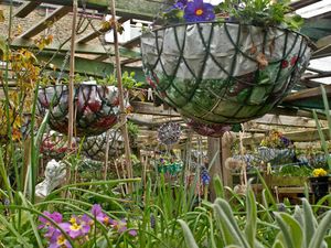 Hanging baskets