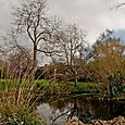 Pond (2)