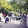 Swiss Chess