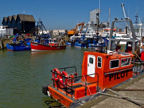 Pilot boat