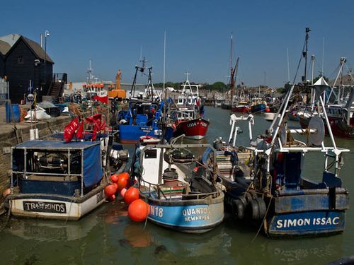 Fishing boats