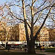 Berkeley Square