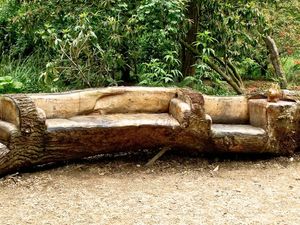 Tree bench