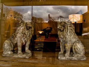 Two lions Two lions