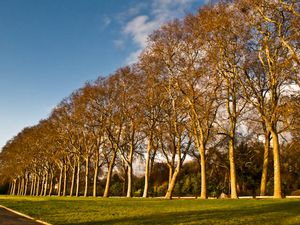 Avenue (2) Avenue (2)