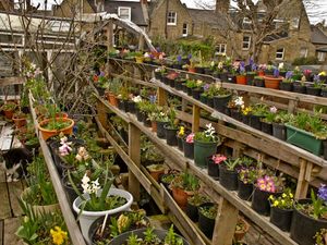 Stacks of flower pots