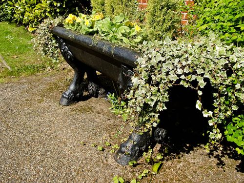 Ivy trough